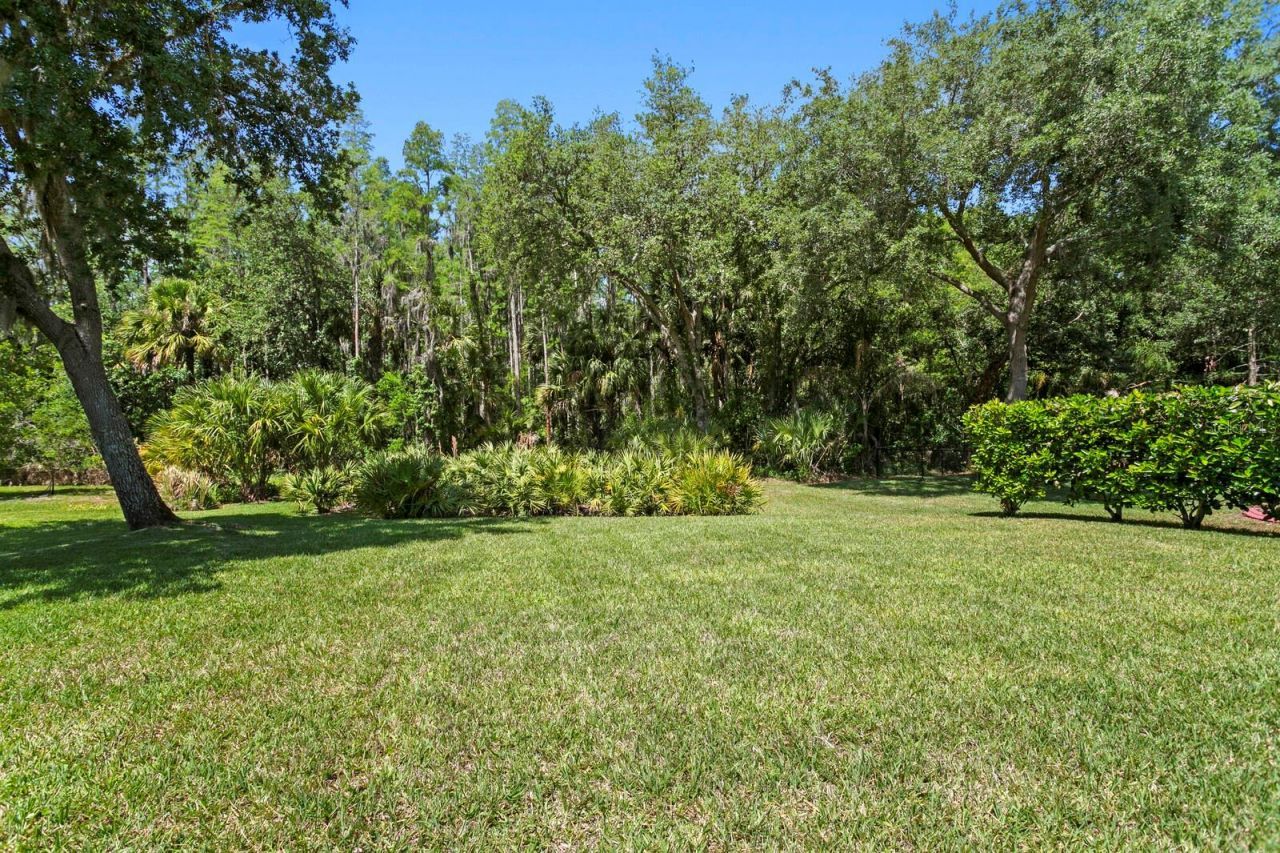10235 Estuary Drive, Tampa, FL 33647 Photo
