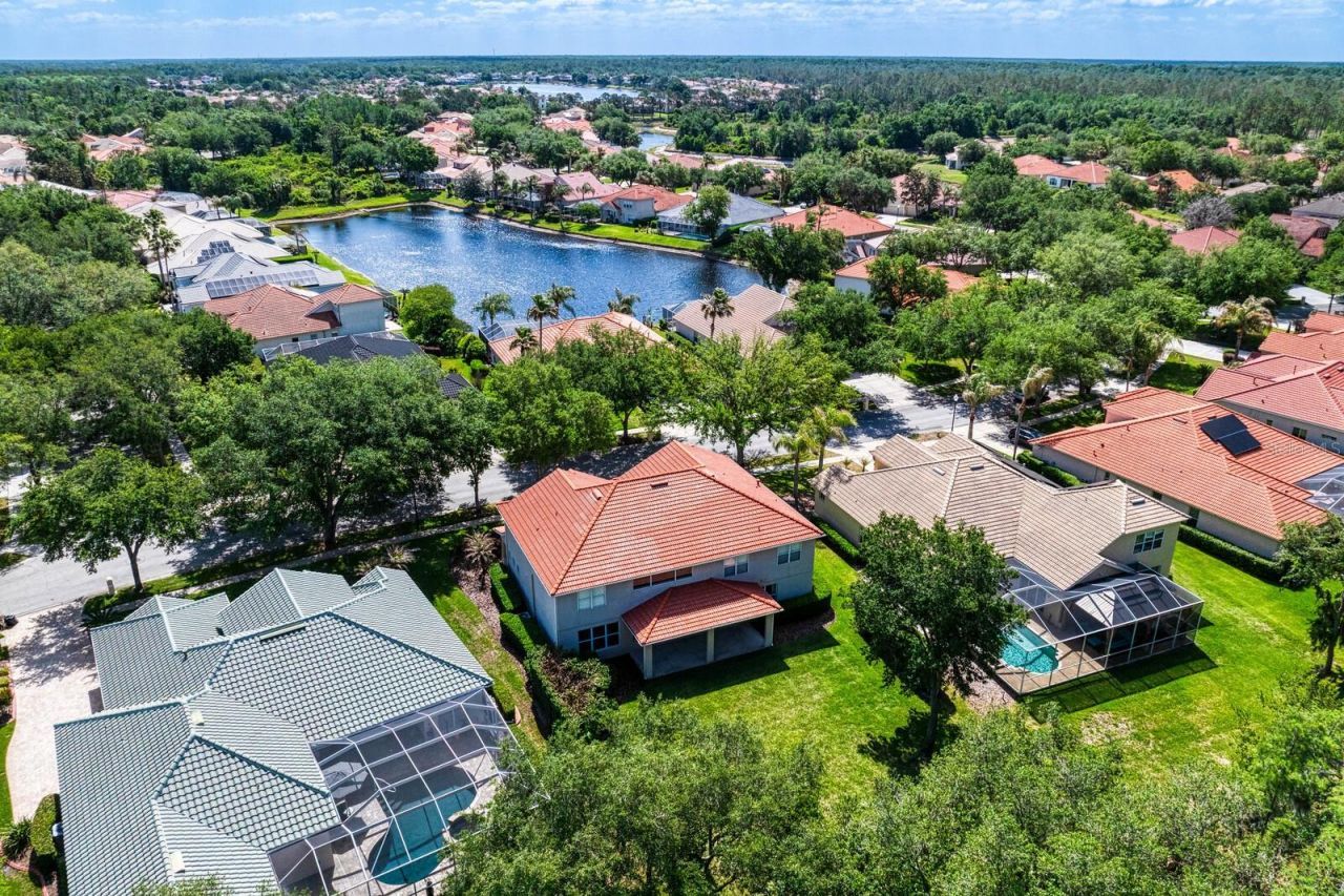10235 Estuary Drive, Tampa, FL 33647 Photo