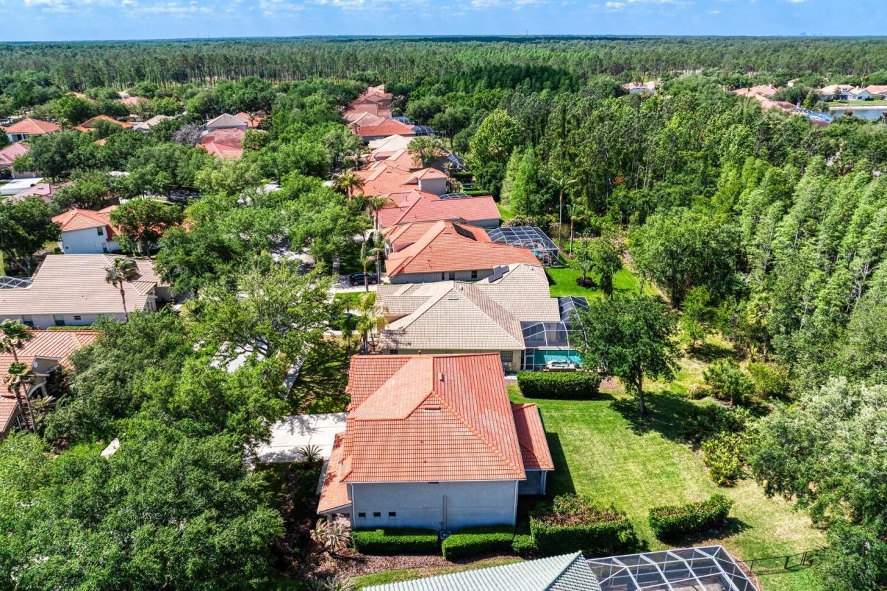 10235 Estuary Drive, Tampa, FL 33647 Photo