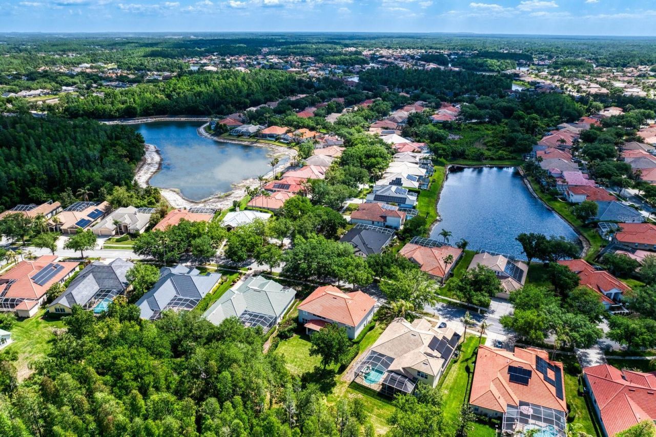 10235 Estuary Drive, Tampa, FL 33647 Photo