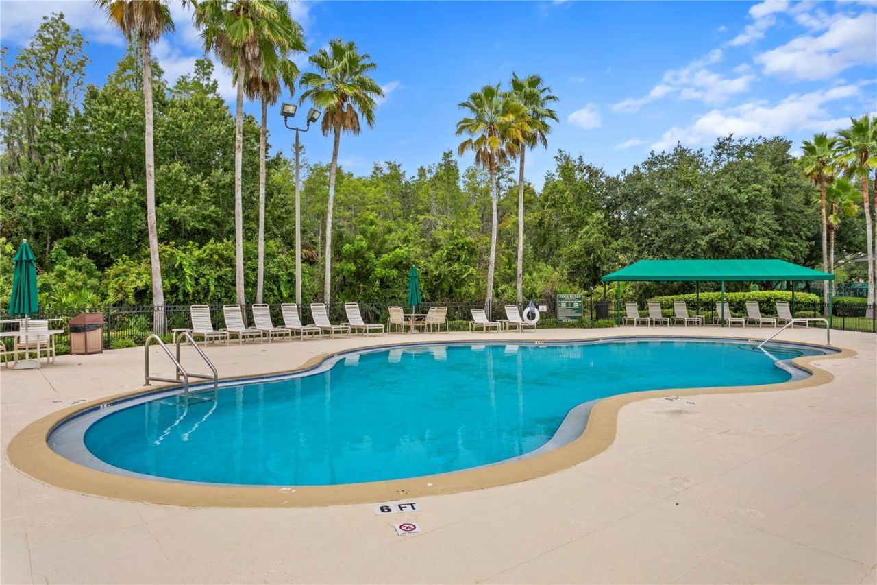 10235 Estuary Drive, Tampa, FL 33647 Photo