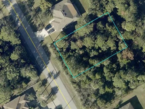 176 BIRD OF PARADISE DRIVE , PALM COAST, FL 32137