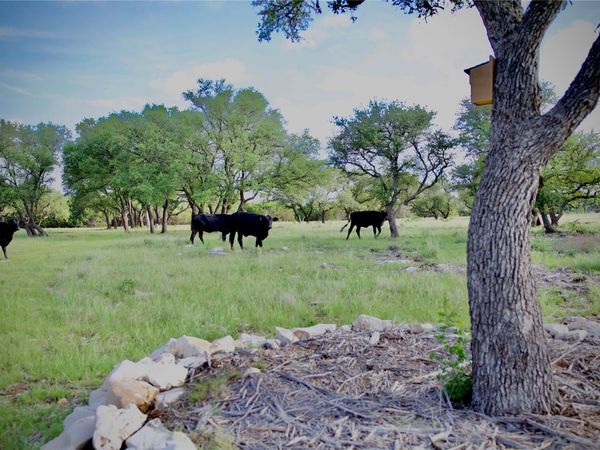 Lot 33 Starfall DR , Lampasas, TX 76550