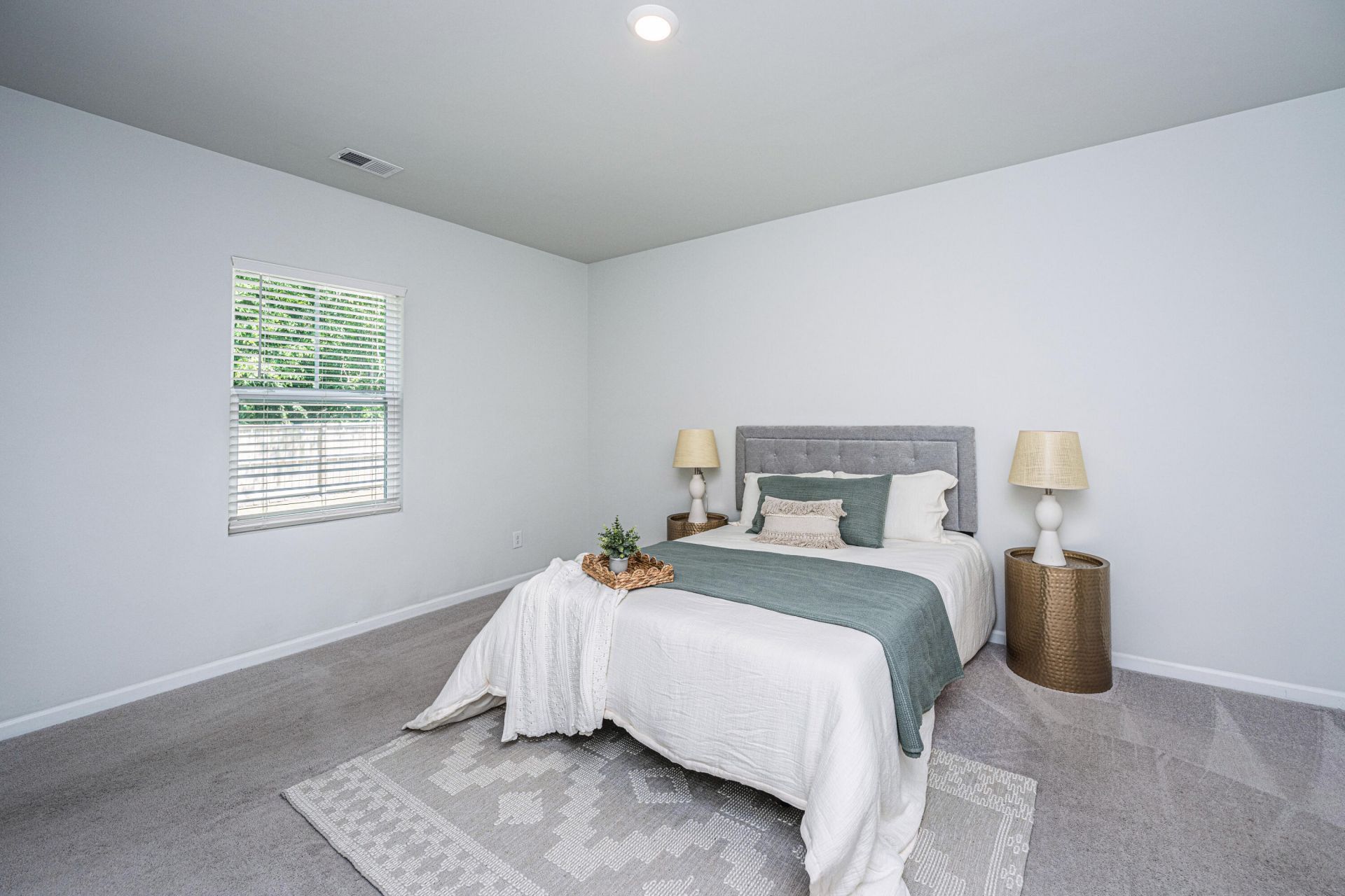 496 Minim Street Photo 16