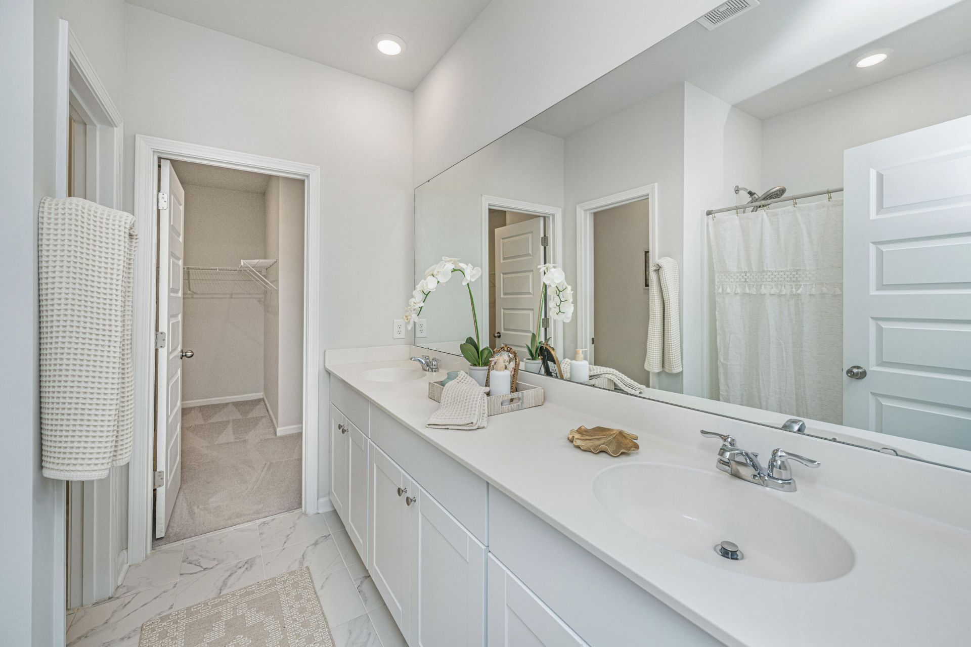 496 Minim Street Photo 19
