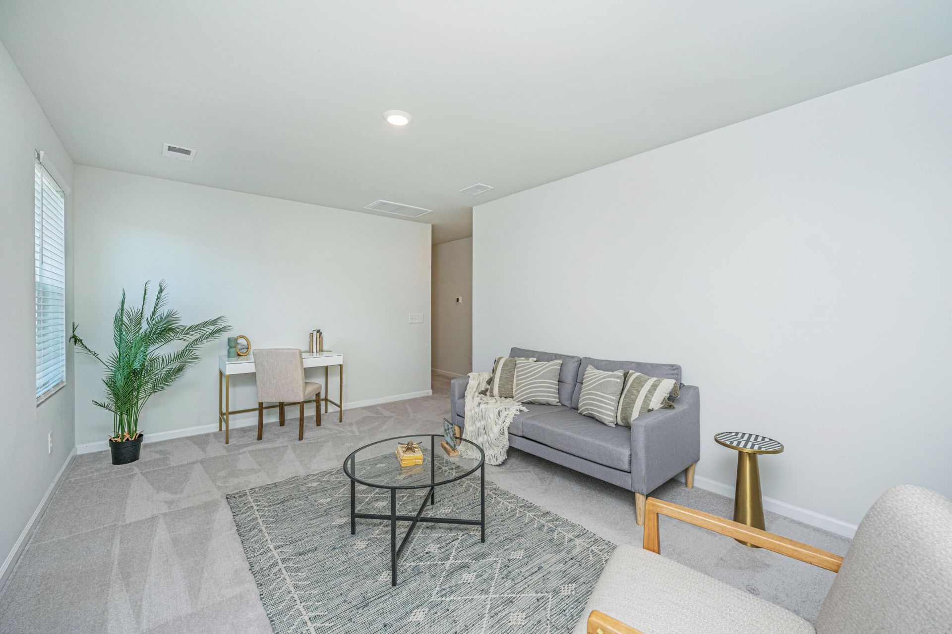 496 Minim Street Photo 24