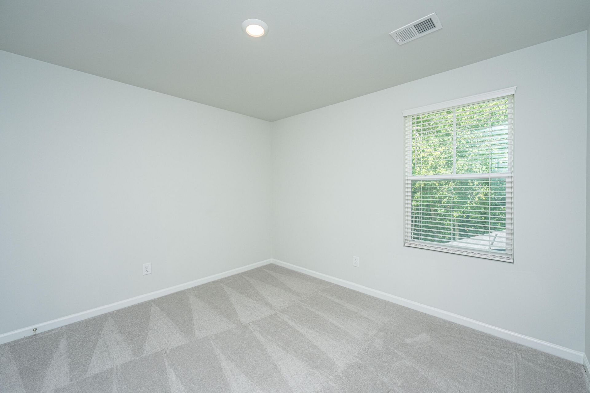 496 Minim Street Photo 26
