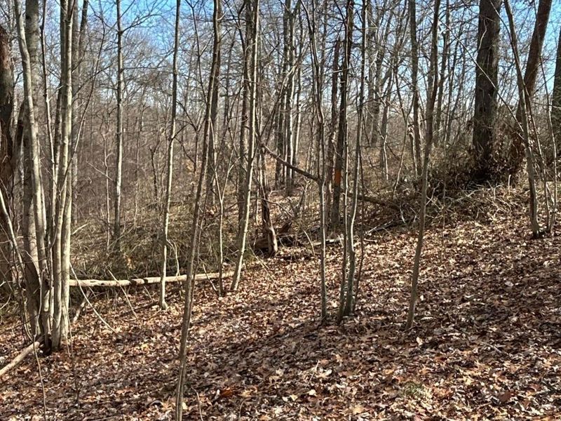 1020 Hunting Run Road, Unit C70, Lucasville, OH 45648 Photo 11