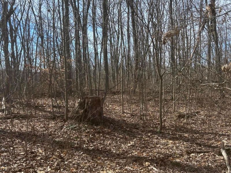 1020 Hunting Run Road, Unit C70, Lucasville, OH 45648 Photo 15