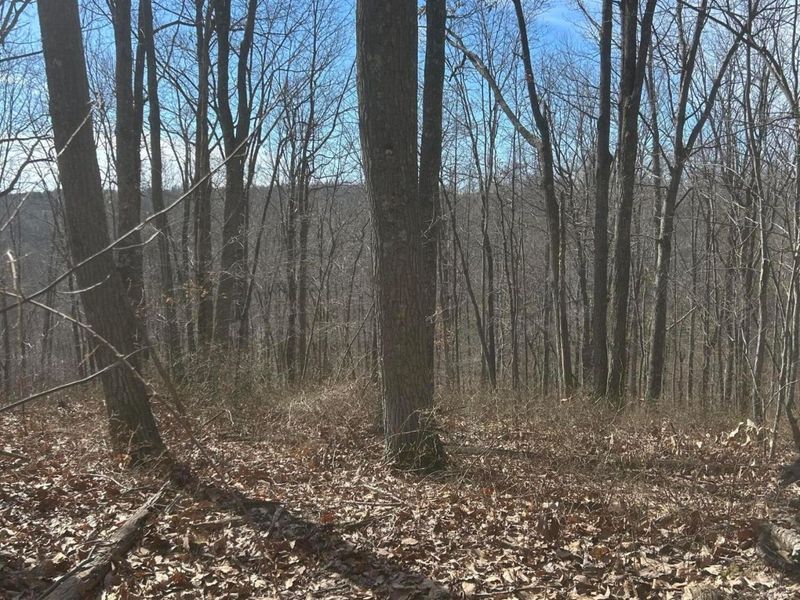 1020 Hunting Run Road, Unit C70, Lucasville, OH 45648 Photo 19