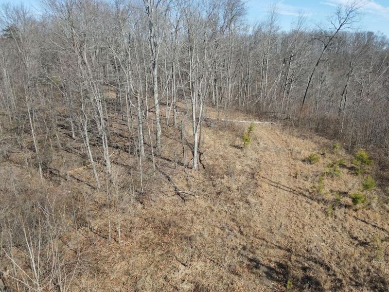 1020 Hunting Run Road, Unit C70, Lucasville, OH 45648 Photo 29