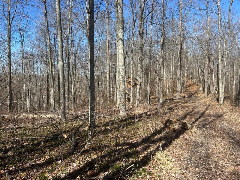 1020 Hunting Run Road, Unit C70, Lucasville, OH 45648 Photo 3