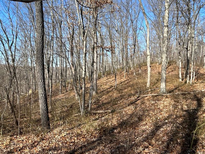 1020 Hunting Run Road, Unit C70, Lucasville, OH 45648 Photo 4