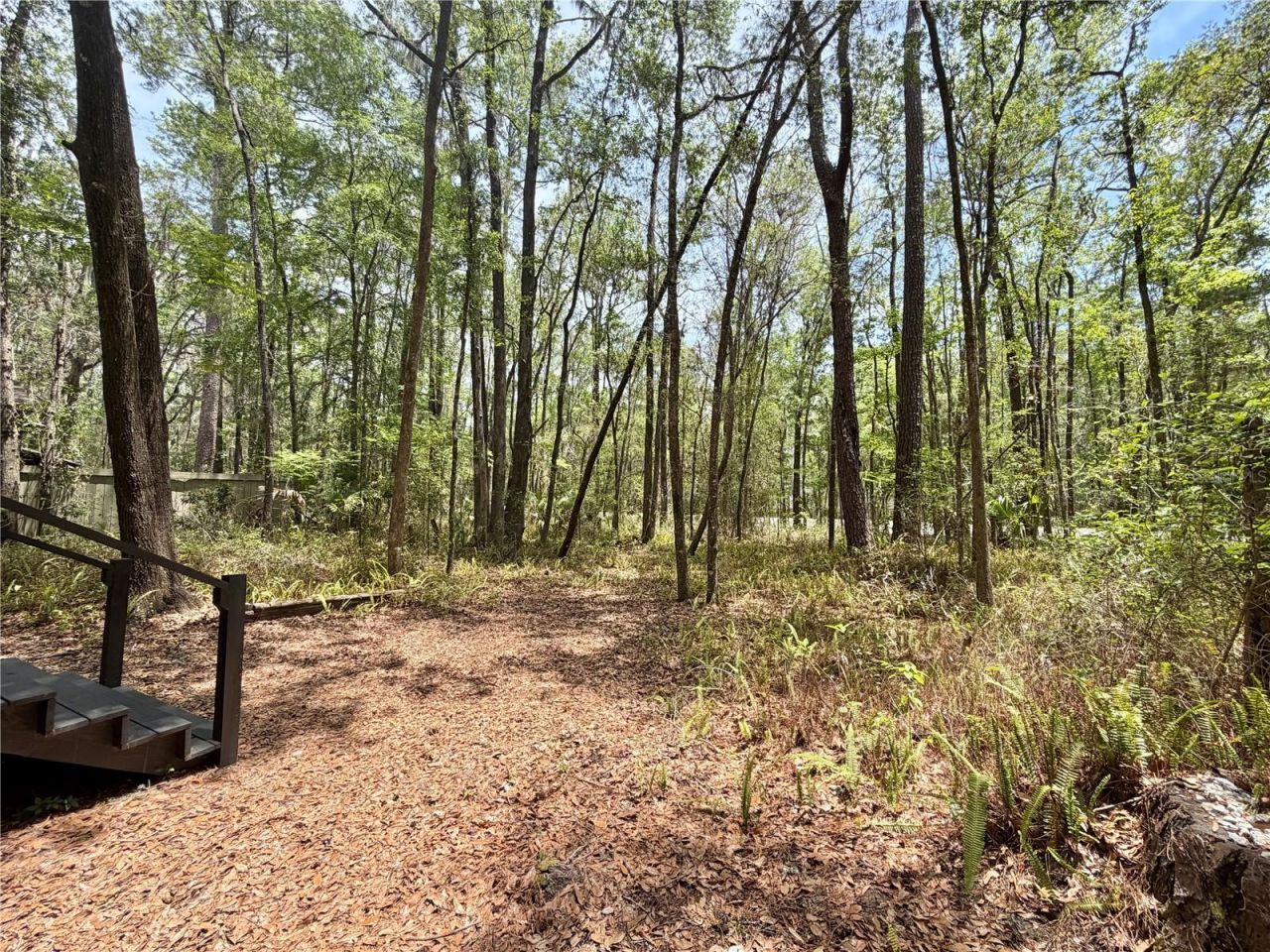 5229 SW 86th Terrace, Gainesville, FL 32608 Photo
