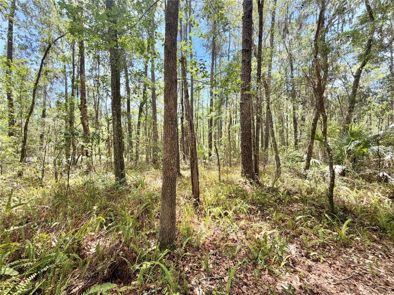 5229 SW 86th Terrace, Gainesville, FL 32608 Photo