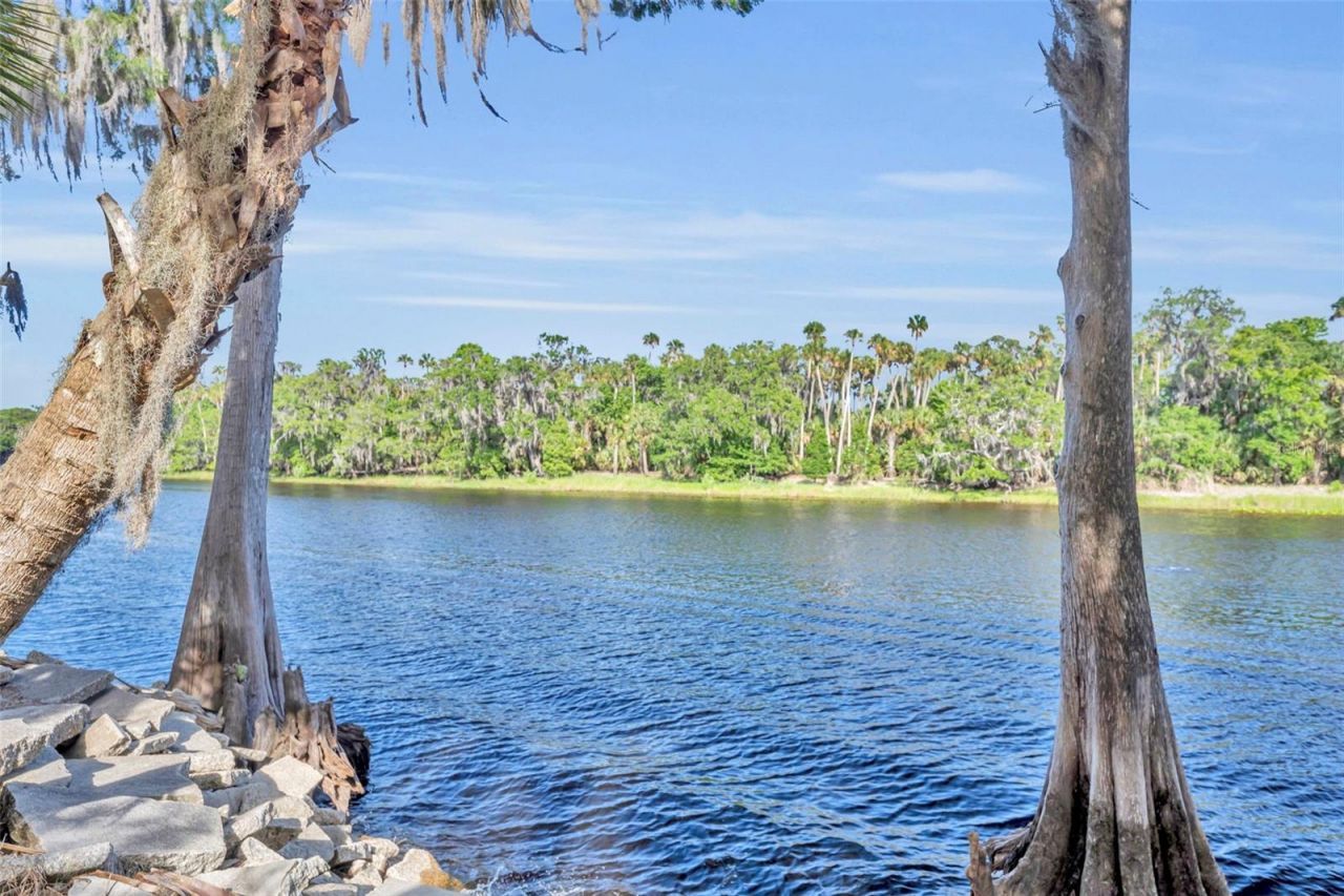 430 Cypress Isles Road, Osteen, FL 32764 Photo