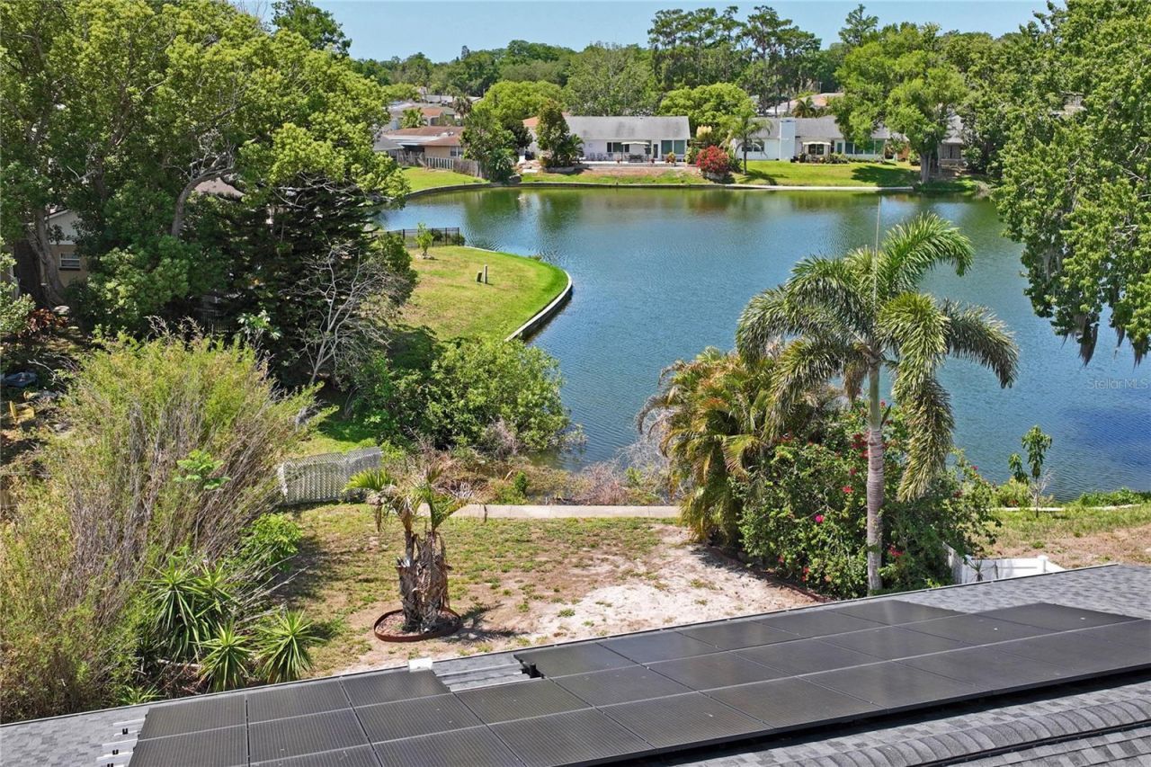 7900 Cayuga Drive , New Port Richey, FL 34653 Photo