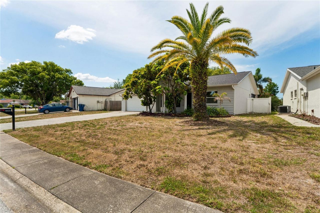 7900 Cayuga Drive , New Port Richey, FL 34653 Photo