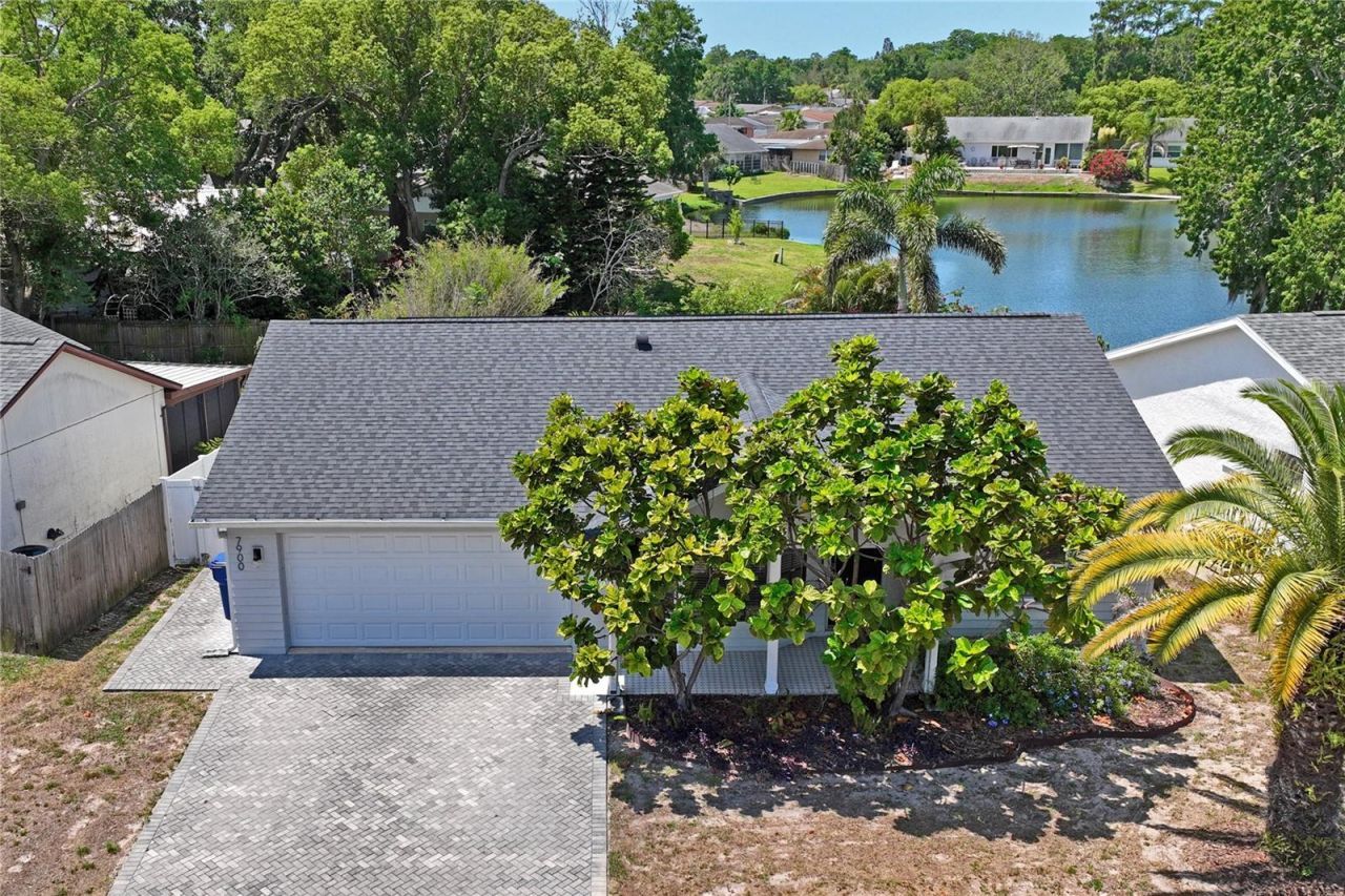 7900 Cayuga Drive , New Port Richey, FL 34653 Photo