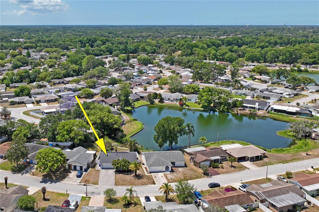 7900 Cayuga Drive , New Port Richey, FL 34653 Photo