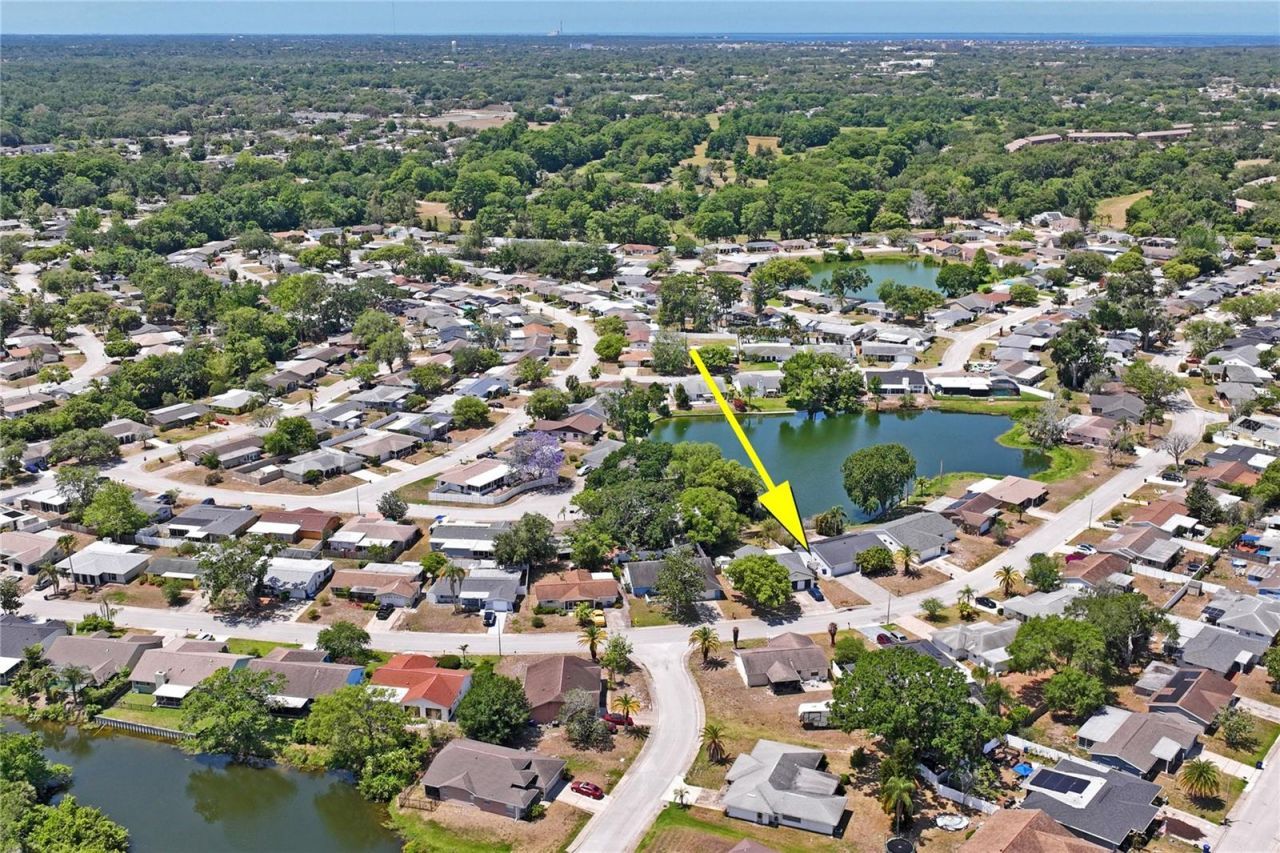 7900 Cayuga Drive , New Port Richey, FL 34653 Photo