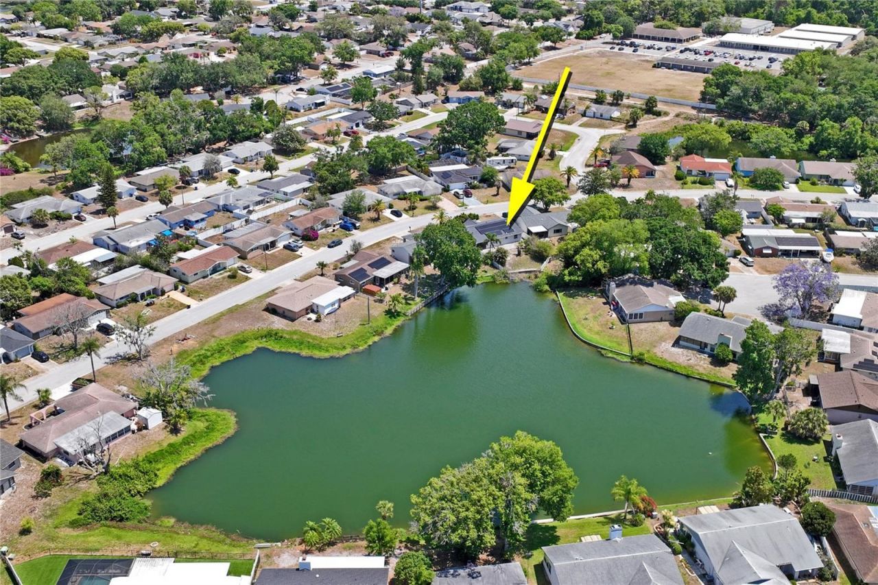 7900 Cayuga Drive , New Port Richey, FL 34653 Photo