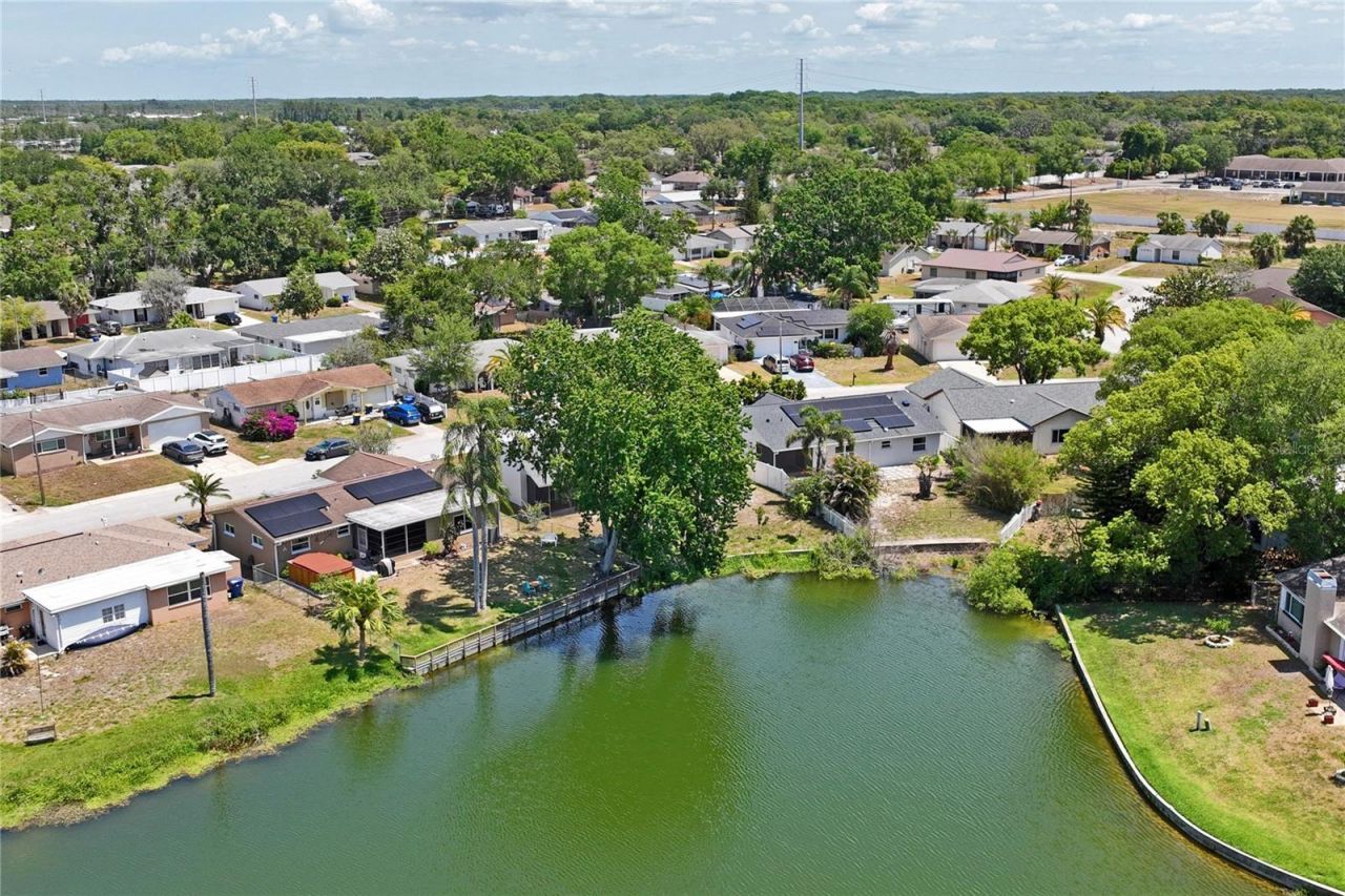 7900 Cayuga Drive , New Port Richey, FL 34653 Photo