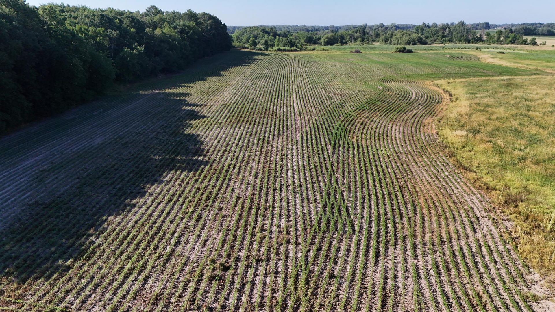 TBD Nightingale Street , Braham, MN 55006