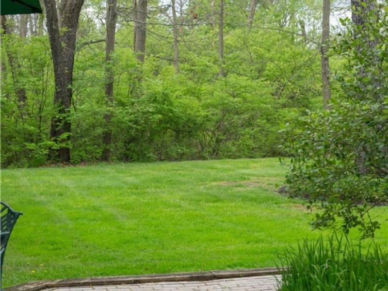30 Blackberry Drive, Hudson, OH 44236 Photo 47