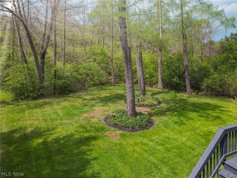 30 Blackberry Drive, Hudson, OH 44236 Photo 48