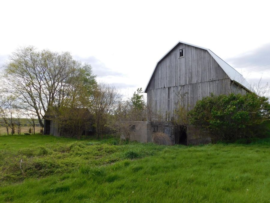Property Image 28