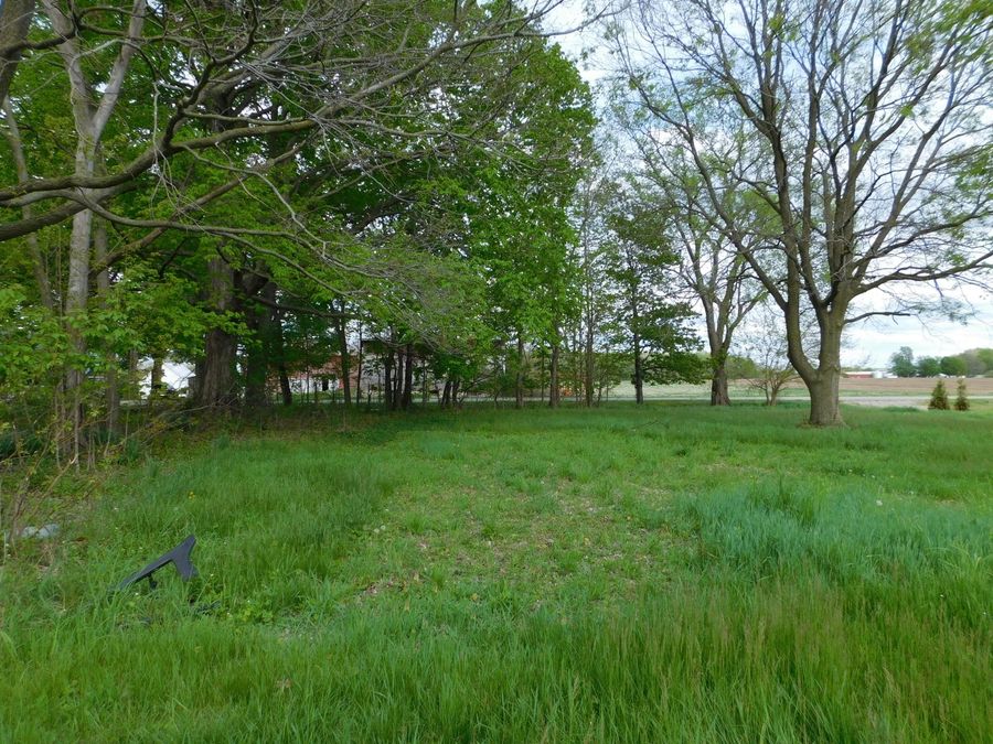 Property Image 37