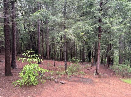33700 Railfence Rd, Alta, CA 95701 Photo