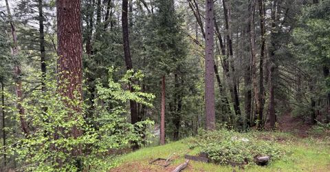 33700 Railfence Rd, Alta, CA 95701 Photo