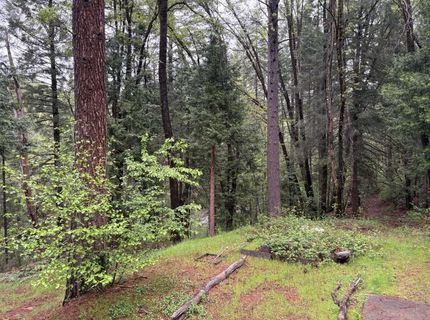 33700 Railfence Rd, Alta, CA 95701 Photo