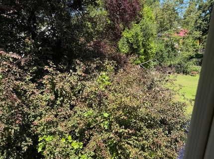 96 Court St, San Andreas, CA 95249 Photo