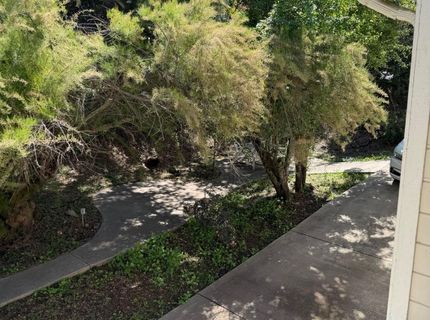 96 Court St, San Andreas, CA 95249 Photo