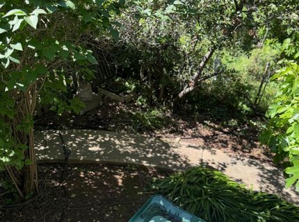 96 Court St, San Andreas, CA 95249 Photo