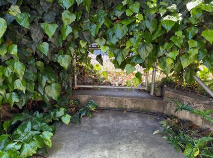 96 Court St, San Andreas, CA 95249 Photo