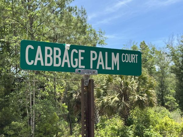 x CABBAGE PALM Court, St Marks, FL 32355