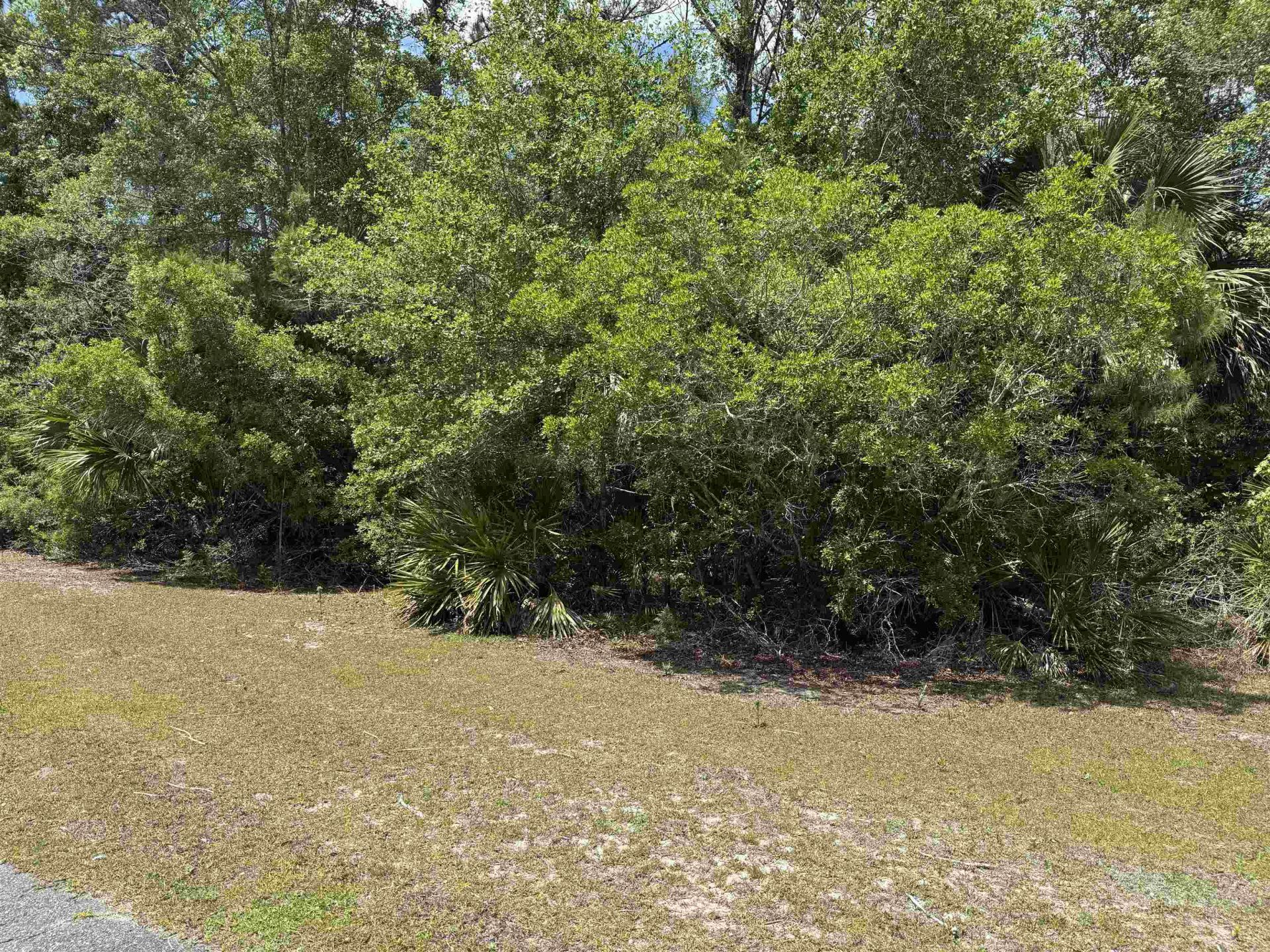 X Cabbage Palm Court, Saint Marks, FL 32355 Photo