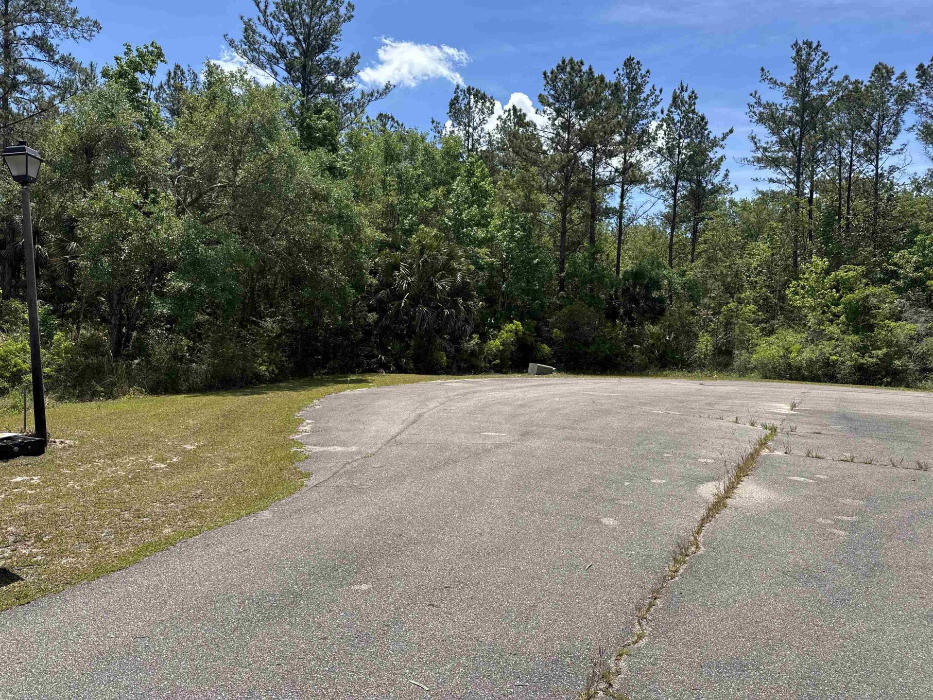 X Cabbage Palm Court, Saint Marks, FL 32355 Photo