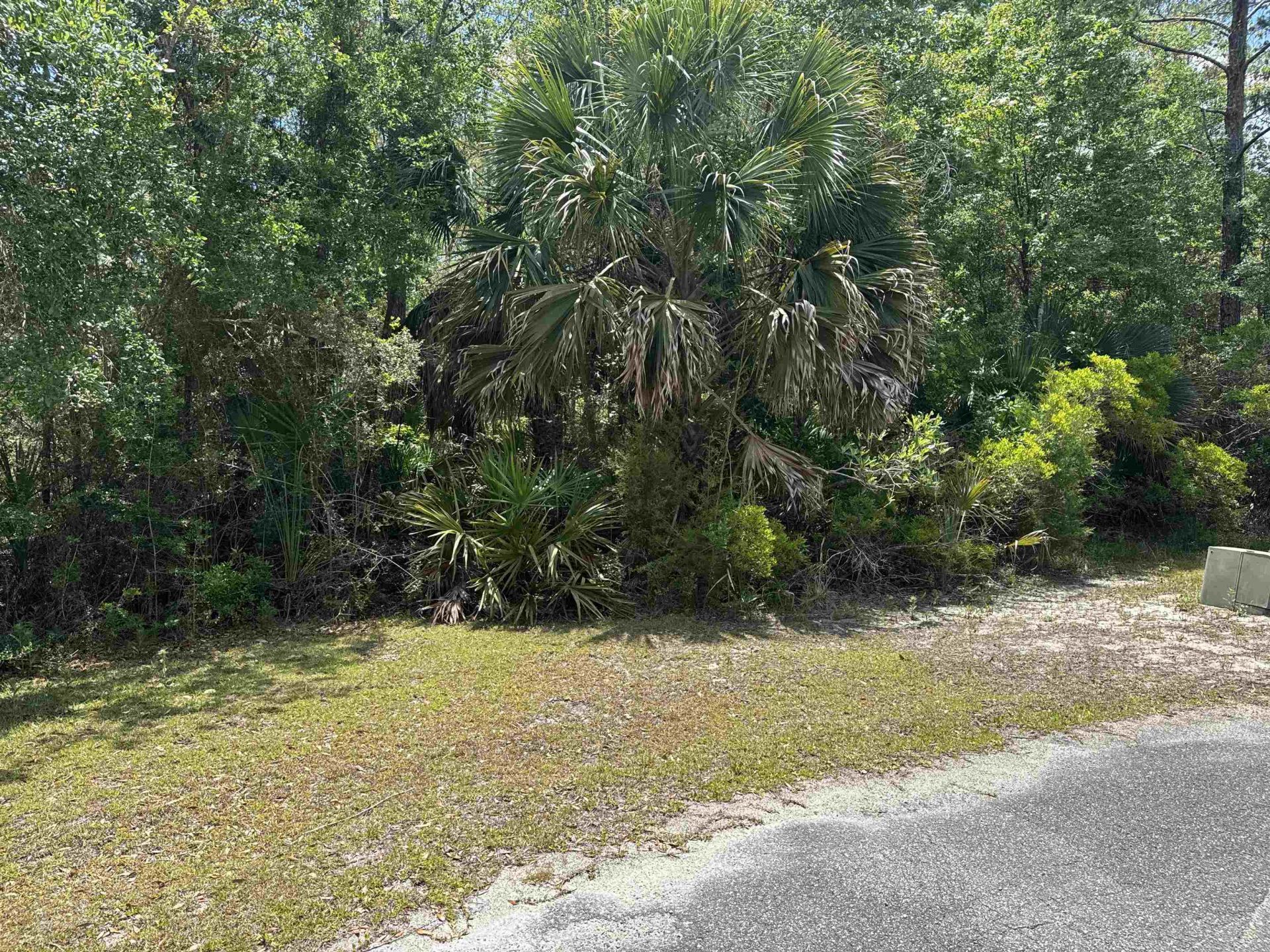 X Cabbage Palm Court, Saint Marks, FL 32355 Photo