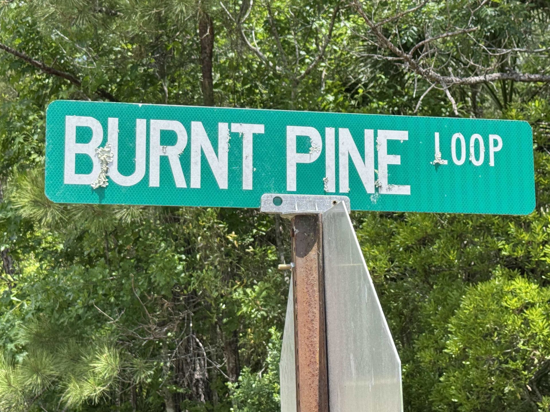 Xx Burnt Pine Loop, Saint Marks, FL 32355 Photo