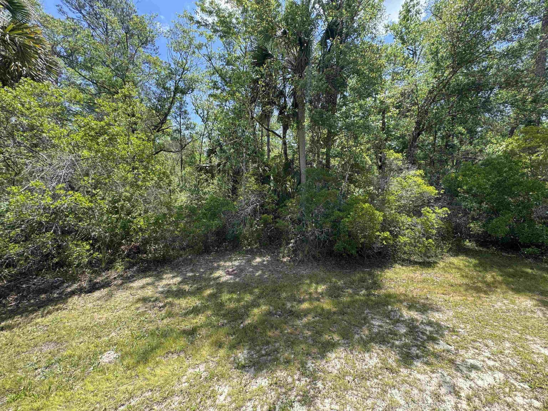 Xx Burnt Pine Loop, Saint Marks, FL 32355 Photo
