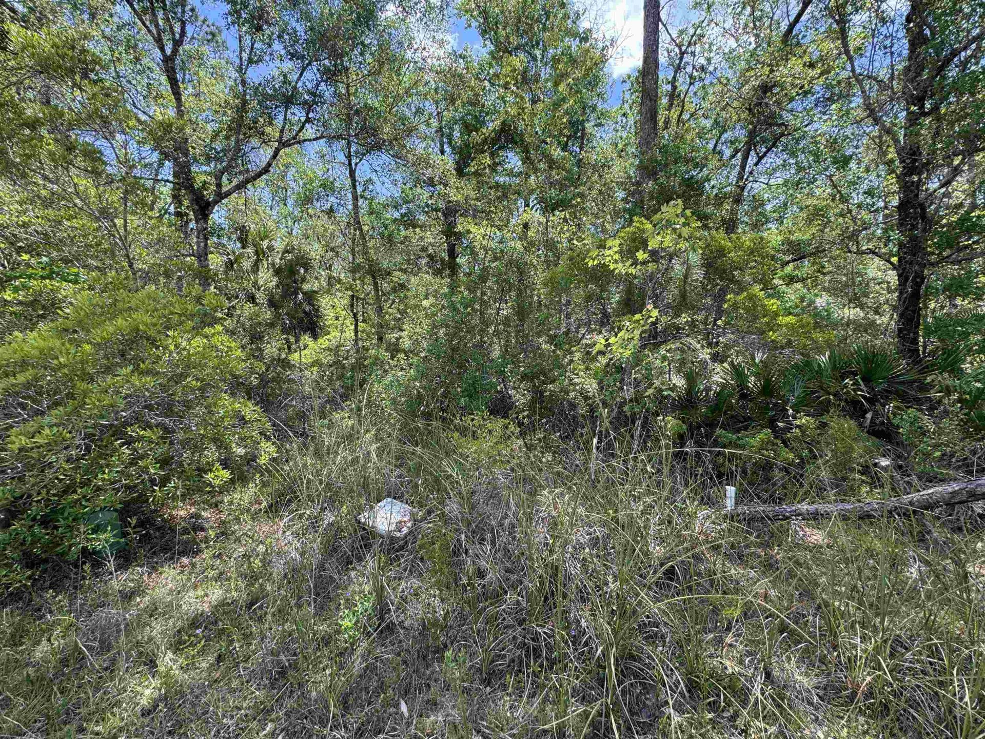 Xx Burnt Pine Loop, Saint Marks, FL 32355 Photo