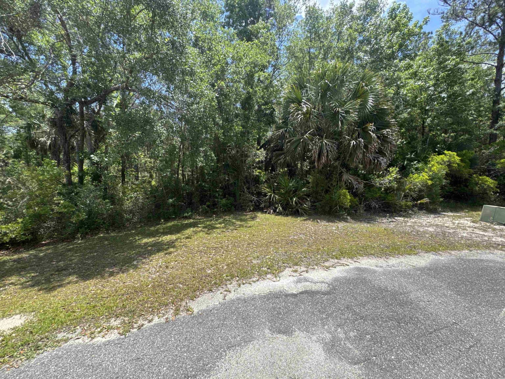 Xx Cabbage Palm Court, Saint Marks, FL 32355 Photo