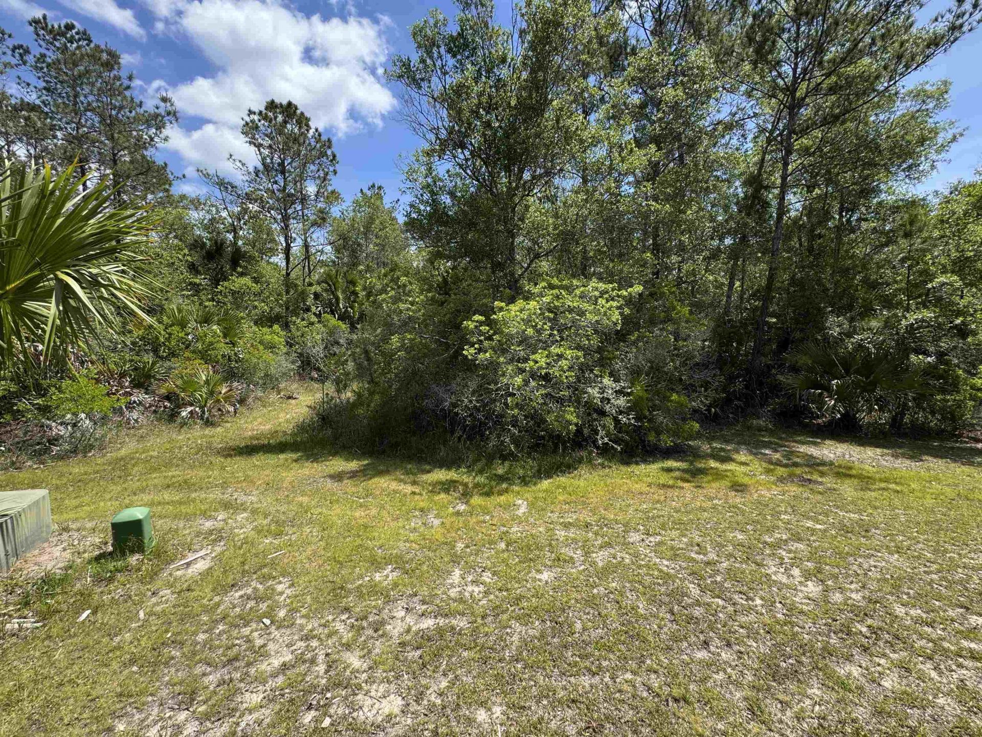 Xxx Burnt Pine Loop, Saint Marks, FL 32355 Photo