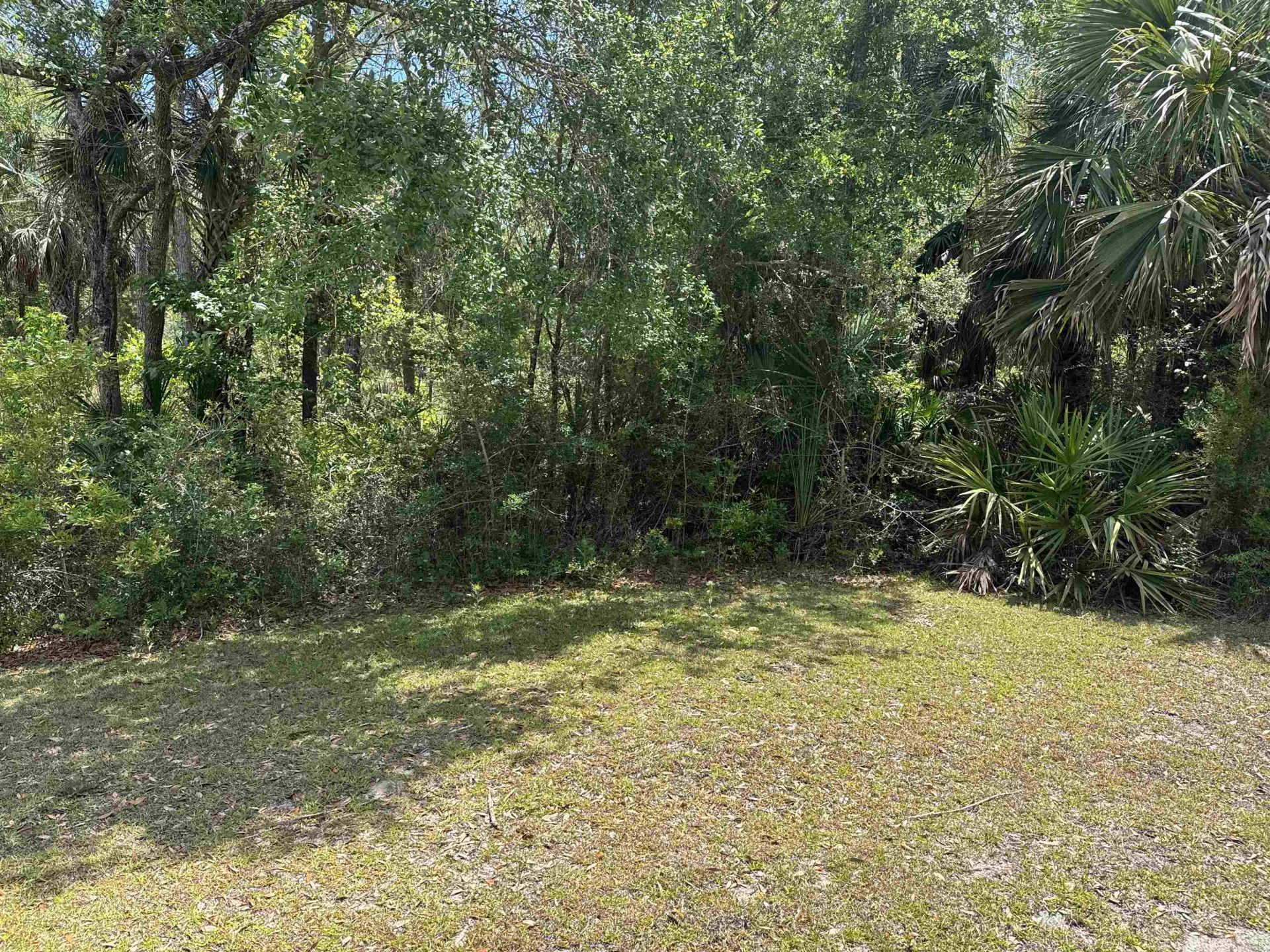 Xxx Cabbage Palm Court, Saint Marks, FL 32355 Photo