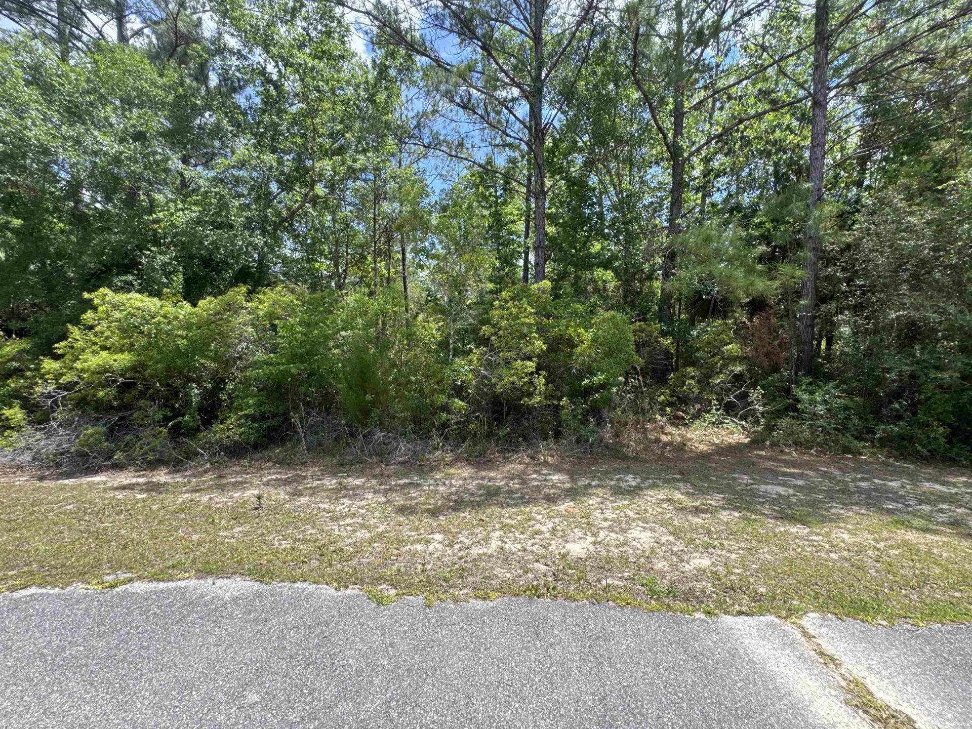 Xxx Cabbage Palm Court, Saint Marks, FL 32355 Photo